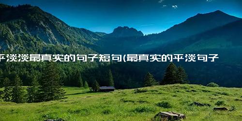 平平淡淡最真实的句子短句(最真实的平淡句子 新闻报道可以平实，新闻真相不能淡化)